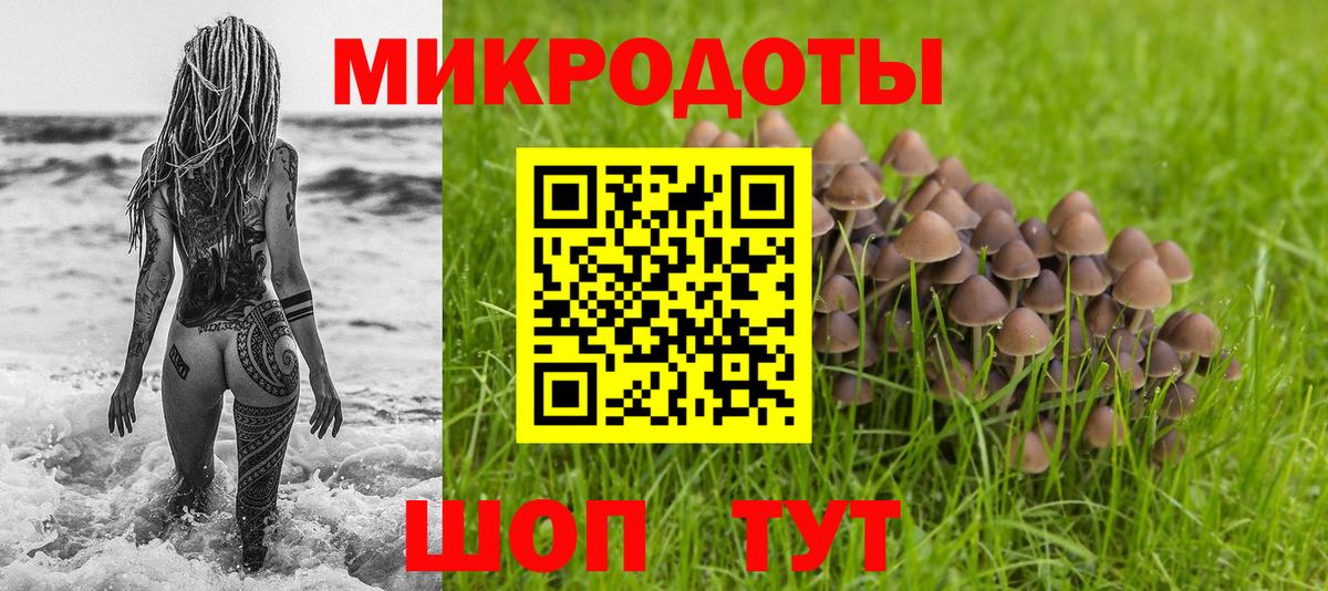 наркотики  Вход с VPN  Верхний Уфалей  Псилоцибиновые грибы Cubensis 